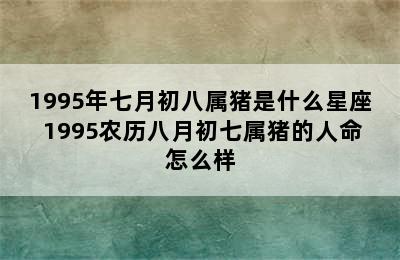 1995年七月初八属猪是什么星座 1995农历八月初七属猪的人命怎么样